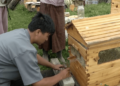New hive technology transforms honey harvesting in Bumthang